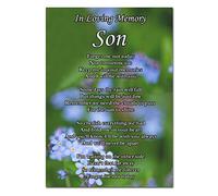 Son Memorial Card Funeral Graveside Forget Me Not Poem & Ground Stake F504
