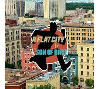 Son of Dave - A Flat City [VINYL]