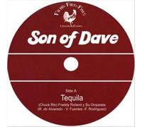 Son Of Dave - Covers 45 [7" VINYL]