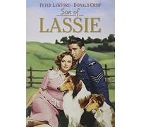 Son of Lassie [DVD] [Region 1] [US Import] [NTSC]