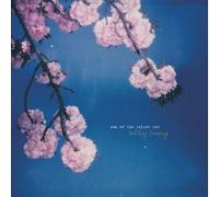 Son Of The Velvet Rat - Solitary Company [VINYL]