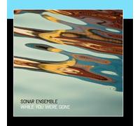 Sonar Ensemble - While You Were Gone