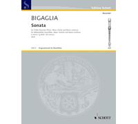 Sonata in G minor: treble recorder (flute, oboe, violin) and basso continuo (harpsichord or piano), cello (viola da gamba) ad libitum.
