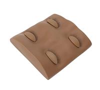 Sonew False Eyelashes Extension Practice Mannequin Head with Removable Eyelids for Makeup Training (Coffee Color)