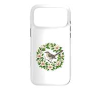 Song of the Magnolia State Case for iPhone 17 Pro Max