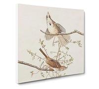 Song Sparrows Bird by John James Audubon Canvas Print | Gallery Wrapped 30mm Frame Wall Art | 14x14 inches | Ready to Hang | Retro Animals Picture | Living Room Bedroom Lounge Office