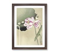 Songbird & Lotus By Ohara Koson Asian Japanese Framed Wall Art Print, Ready to Hang Picture for Living Room Bedroom Home Office Décor, Walnut A4 (34 x 25 cm)