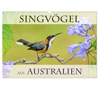 Songbirds from Australia UK-Version (Wall Calendar 2026 DIN A3 Landscape), CALVENDO 12 Month Wall Calendar
