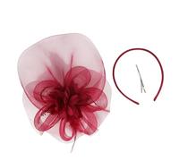 Songelt 1920s Theme Occasion Mesh Hairhoop Hair Clip With Feathered Decors For Weddings Theme Occasion Celebration Accessories Mesh Headpiece For Women