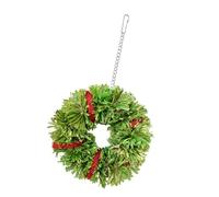 Songelt Pet Bird Chew Toy Natural Colorful Loofah Wreath For Cockatiel Conure Cockatoos Teeth Grinding Toy For Cage Bird With Loofah Swing