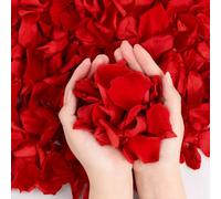 Songjum 240pcs Natural Valentines Red Rose Petals Romantic Dried Rose Flower Petals Confetti for Wedding Anniversary Birthday Proposal Centerpieces Valentine's Day Decor(Red)