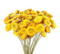Songjum 50PCS Daisy Bouquet Dried Flower Natural Chrysanthemum Multicolor Dried Daisies for Vase Home decor Party DIY Arrangement Wheat Straw Bulk Party Decoration(Yellow)