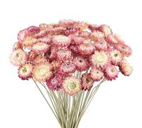Songjum 50PCS Daisy Bouquet Dried Flower Natural Chrysanthemum Multicolor Dried Daisies for Vase Home decor Party DIY Arrangement Wheat Straw Bulk Party Decoration(Pink)