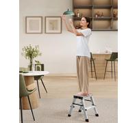 Songmics 2-Step Aluminium Ladder, Non-Slip Steps For Easy Use In Various Spaces, Silver Grey And Ink Black
