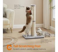 Songmics Cat Scratching Post, Tall Cat Scratcher For Cats, Sisal Scratch Pole, Spring Pompom With Built-In Bell, Dove Grey