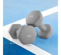 SONGMICS Set of 2 Dumbbells, 2 x 5 kg Hand Weights with Neoprene Coating, Hexagonal Dumbbells Pair, Home Workout, Fitness Training Exercise, Dove Grey SYL910G01