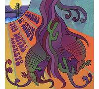 Songs of Sahm by Bottle Rockets (2002) Audio CD