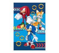 Sonic the Hedgehog Fleece Team Blanket | Size: Crib Sonic the Hedgehog Multicolor Crib
