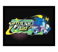 Sonic The Hedgehog Khaos Gotta Go Fast Framed Print