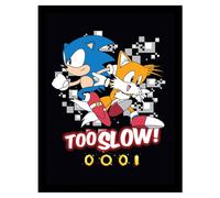 Sonic the Hedgehog Too Slow Framed Poster Sonic the Hedgehog Multicolor