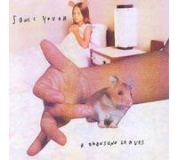 Sonic Youth - A Thousand Leaves