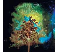 Sons Of Huns - Banishment Ritual [VINYL]