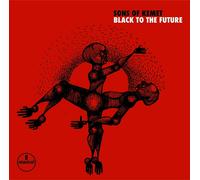 Black to the Future by Sons of Kemet (CD, 2021)