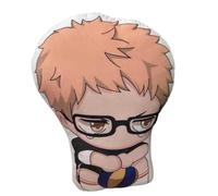 Sonsoke Hinata Shoyo Anime Figure Plush Cushion Manga Cosplay Plush Toy Throw Pillow for Halloween Decorations, Birthday Toy 45 cm (Kei Tsukishima 2)