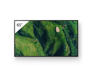 Sony FW-65BZ35P professional 65-inch display with Deep Black Non-Glare Standard and IP5X dust protection