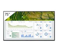 Sony Pro BRAVIA FW-75BZ30L 75" Display