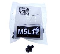 Sony M5L12 Screw M5 8 pc(s)