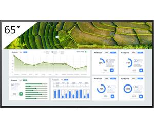 Sony Pro BRAVIA FW-65BZ30L 65" Display