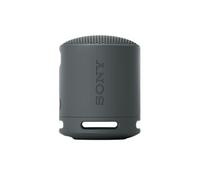 Sony SRS-XB100 - Wireless Bluetooth Portable Speaker, Durable IP67 Waterproof & Dustproof, 16 Hour Battery, Eco, Outdoor and Travel in Black