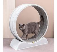 SOONHUA 30 Inch Cat Exercise Wheel with Brake