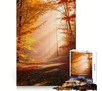 Soothing Golden Autumn Forest Path 1000 Piece Jigsaw Puzzles for Adults Teenagers Solid Logic Toy Quiet Fun Precision Cut Santa Wish Pick (38x52cm)