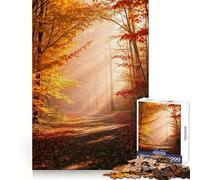 Soothing Golden Autumn Forest Path Hard Jigsaw Puzzle for Adults 1000 Pieces Mind Challenge Toy Gentle Leisure Precise Cut Memorable Gift (50x75cm)