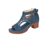 SOOUICKER High Heels Shoes Summer Women's Peep Toe Ankle Boots Gladiator Block Heel Sandals with Side Zipper High Heels for Summer, Office, Party & Wedding | Comfort Low/Mid Heel Shoes