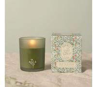 Sophia Lane Zest & Bloom Floral Candle - 100g in Green Sophia Lane Green