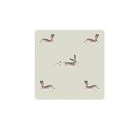 Sophie Allport - Hare Coasters, Set of 4, Heat Resistant, Cork Backed, Protect Furniture, Stylish & Neutral Print