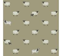 Sophie Allport Sheep Mossbank Green Wallpaper