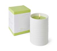 Sophie Conran Energies Collection Candle - Purpose