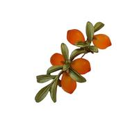 Sophisticated Citrus Crystal Brooch Detailed Craftsmanship Citrus Crystal Pin for Gallery Visits and Social Gatherings Artisanal Glass Brooch Jewelry