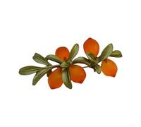 Sophisticated Citrus Crystal Brooch Detailed Craftsmanship Citrus Crystal Pin for Gallery Visits and Social Gatherings Artisanal Glass Brooch Jewelry