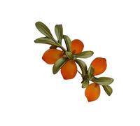Sophisticated Citrus Crystal Brooch Detailed Craftsmanship Pin for Gallery Visits and Social Gatherings Handcrafted Pin