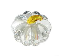 Sophisticated Transparent Pumpkin Decoration Item, a Great Fit for Contemporary Homes (transparent)