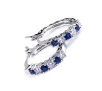 Sophisticated Zirconia Earrings Delicate Zirconia Earrings Stylish Ear Clip Charm For Various Occasions Fashion For Women