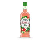 SOPLICA EXOTIC WATERMELON & MINT Polish Vodka - Natural Ingredients - For Shots & Cocktails - 28% Alcohol - 500 ml