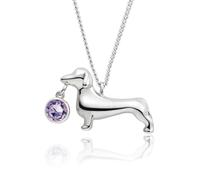 Sopodbacker Necklace Pendant Chain Men Women Jewellery Dachshund Cute Dog Necklace Clavicle Chain Men And Women Punk Geometric Wedding Party Gift 白K