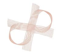 SOPOTUTU 2pcs Ballet Pointe Shoe Elastic Ribbon for Women and Reinforced Stretch Straps for Stable Fit and Injury Prevention Invisible Ballet Shoe Accessories for Dance Wear