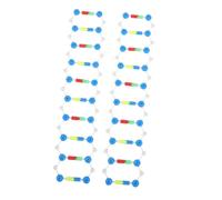 SOPOTUTU 2pcs Dna Molecular Modeling Kit Double Helix Structure Educational Science Teaching Tool for Students Biology Genetics Study Laboratory Use
